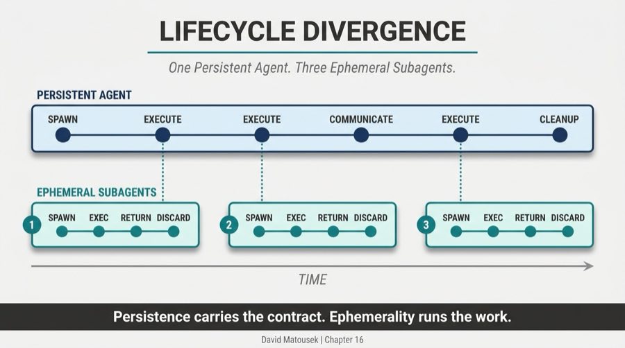 Lifecycle Divergence